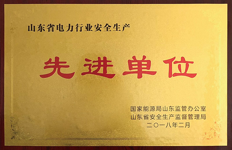 山东省电力行业安全生产 先进单位