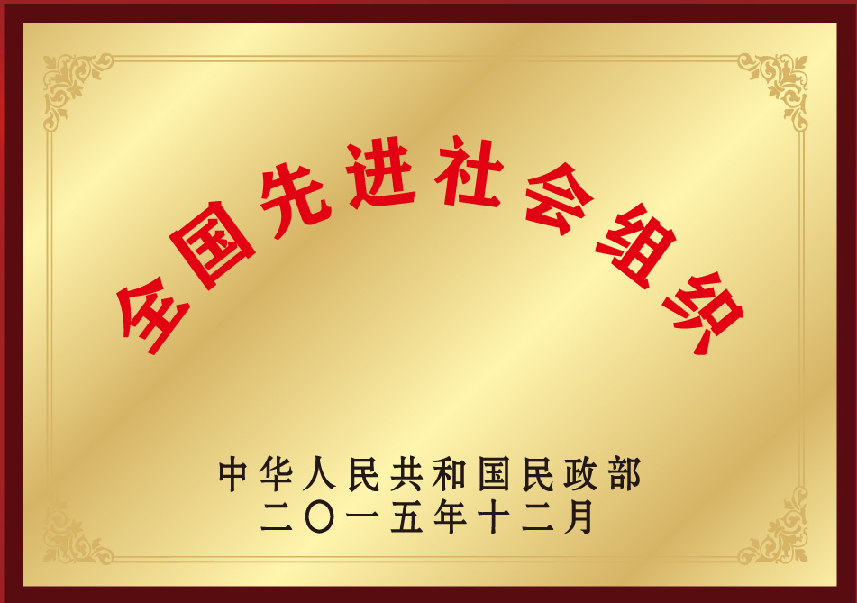 全国先进社会组织
