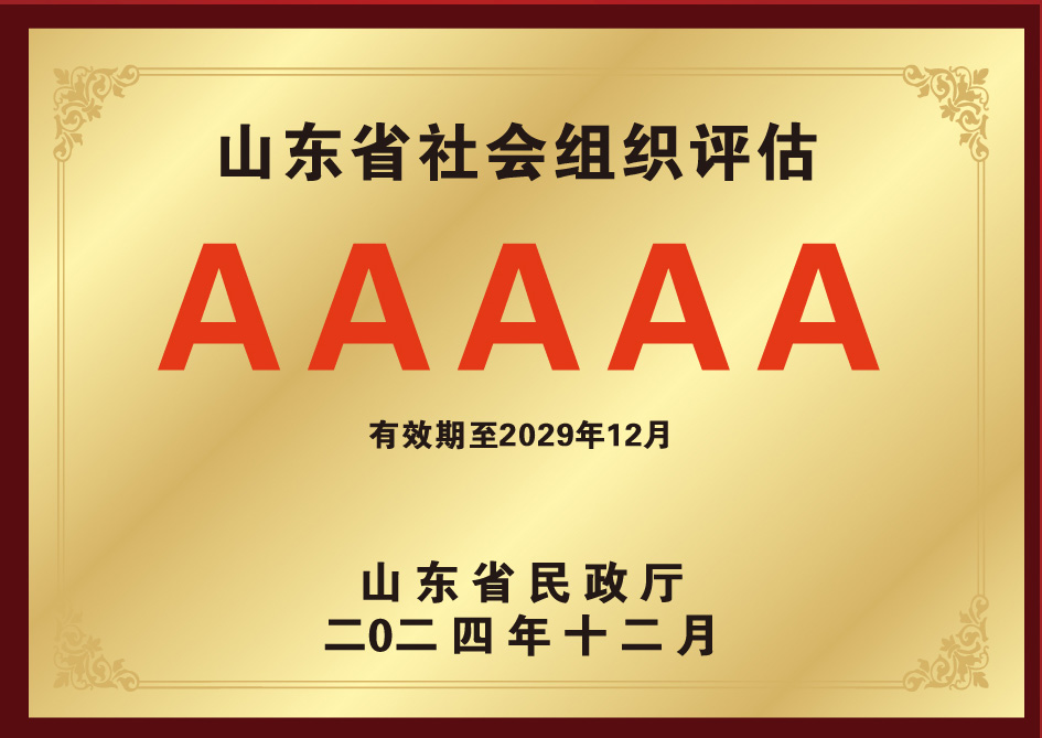 中国社会组织评估等级5A